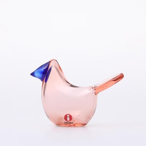 Birds Sieppo サーモンピンク×ブルー 0704