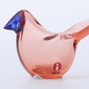 Birds Sieppo サーモンピンク×ブルー 0621