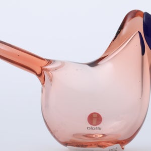 Birds Sieppo サーモンピンク×ブルー 0632