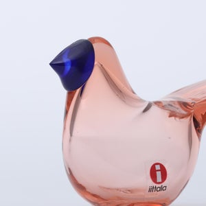 Birds Sieppo サーモンピンク×ブルー 0647