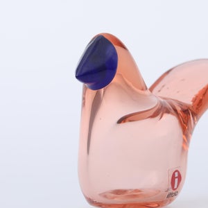 Birds Sieppo サーモンピンク×ブルー 0670