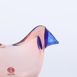 Birds Sieppo サーモンピンク×ブルー 0674