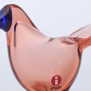 Birds Sieppo サーモンピンク×ブルー 0680