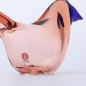 Birds Sieppo サーモンピンク×ブルー 0696