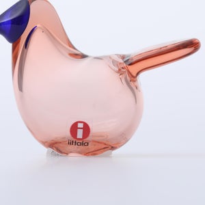 Birds Sieppo サーモンピンク×ブルー 0699