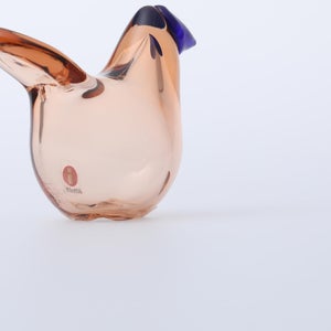 Birds Sieppo サーモンピンク×ブルー 0701