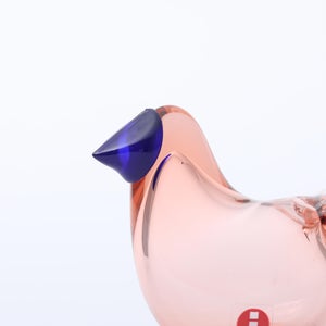 Birds Sieppo サーモンピンク×ブルー 0699