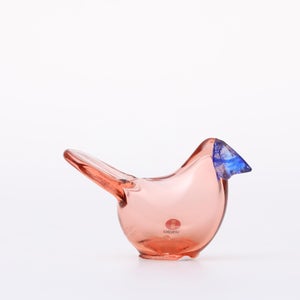 Birds Sieppo サーモンピンク×ブルー 0621