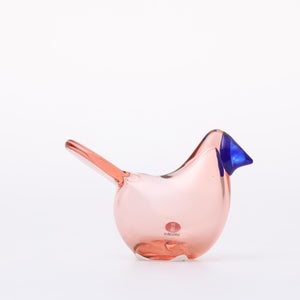 Birds Sieppo サーモンピンク×ブルー 0622