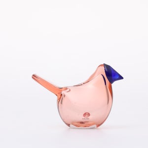 Birds Sieppo サーモンピンク×ブルー 0623