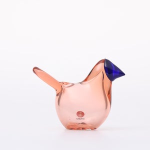 Birds Sieppo サーモンピンク×ブルー 0624