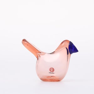 Birds Sieppo サーモンピンク×ブルー 0625