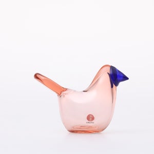 Birds Sieppo サーモンピンク×ブルー 0626