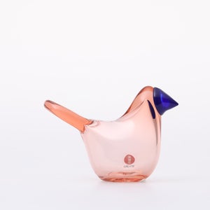 Birds Sieppo サーモンピンク×ブルー 0627