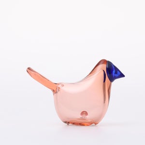 Birds Sieppo サーモンピンク×ブルー 0628