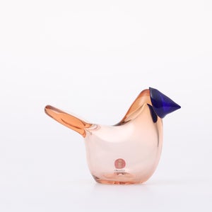 Birds Sieppo サーモンピンク×ブルー 0629