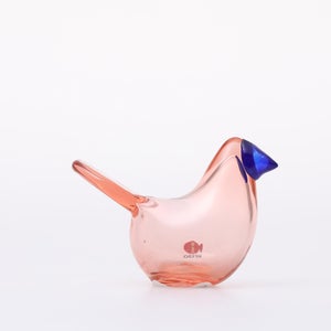 Birds Sieppo サーモンピンク×ブルー 0635