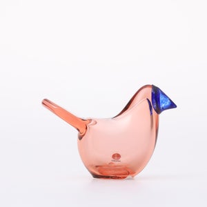 Birds Sieppo サーモンピンク×ブルー 0636