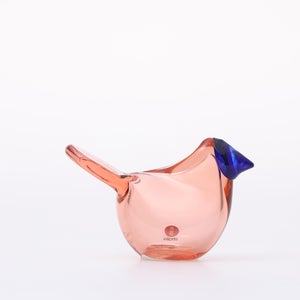 Birds Sieppo サーモンピンク×ブルー 0637