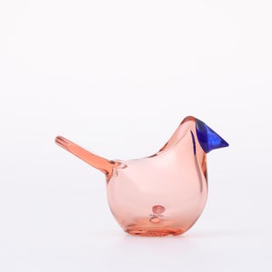 Birds Sieppo サーモンピンク×ブルー 0638