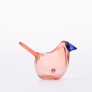 Birds Sieppo サーモンピンク×ブルー 0639