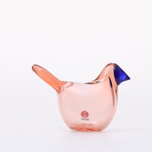 Birds Sieppo サーモンピンク×ブルー 0641