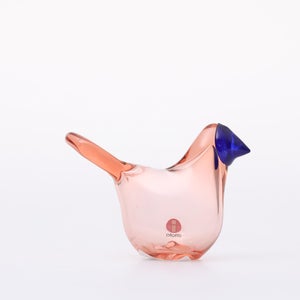 Birds Sieppo サーモンピンク×ブルー 0642