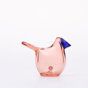 Birds Sieppo サーモンピンク×ブルー 0643