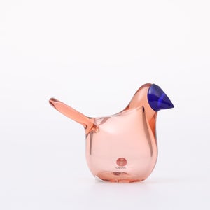 Birds Sieppo サーモンピンク×ブルー 0644