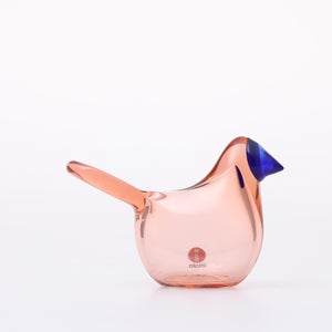 Birds Sieppo サーモンピンク×ブルー 0645