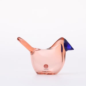 Birds Sieppo サーモンピンク×ブルー 0646