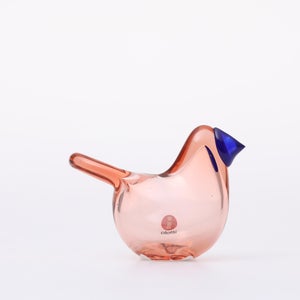 Birds Sieppo サーモンピンク×ブルー 0647