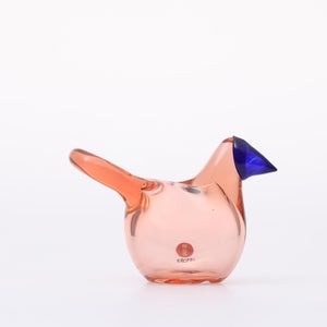 Birds Sieppo サーモンピンク×ブルー 0648