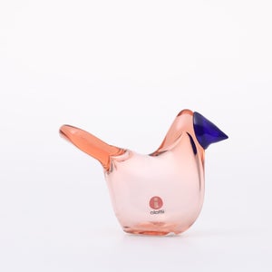 Birds Sieppo サーモンピンク×ブルー 0649