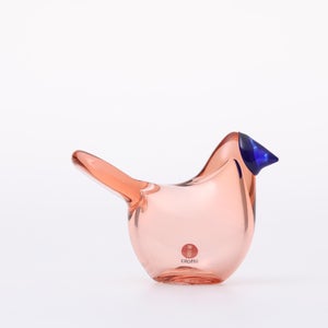 Birds Sieppo サーモンピンク×ブルー 0650