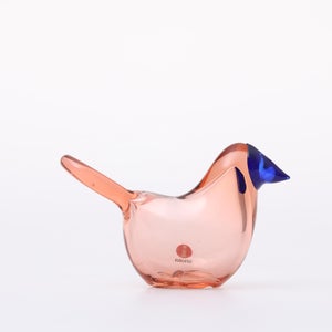 Birds Sieppo サーモンピンク×ブルー 0651