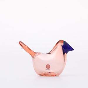 Birds Sieppo サーモンピンク×ブルー 0652