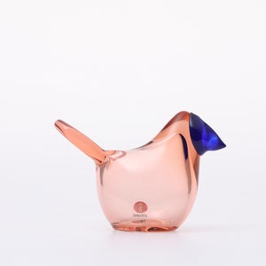 Birds Sieppo サーモンピンク×ブルー 0654