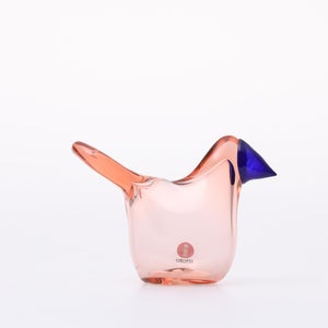 Birds Sieppo サーモンピンク×ブルー 0655