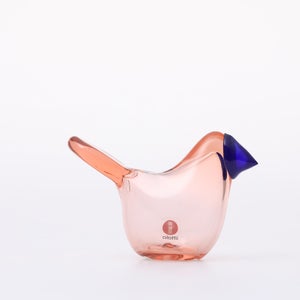 Birds Sieppo サーモンピンク×ブルー 0657