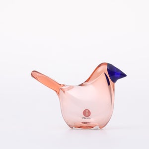 Birds Sieppo サーモンピンク×ブルー 0659