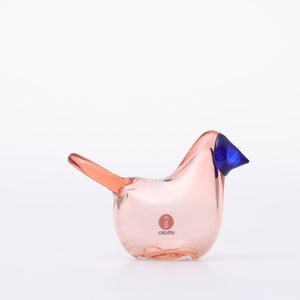 Birds Sieppo サーモンピンク×ブルー 0660