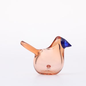 Birds Sieppo サーモンピンク×ブルー 0661