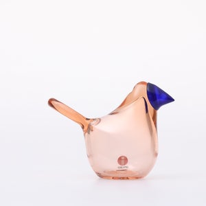 Birds Sieppo サーモンピンク×ブルー 0662