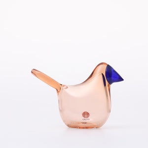 Birds Sieppo サーモンピンク×ブルー 0663