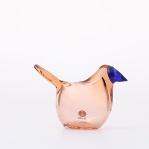 Birds Sieppo サーモンピンク×ブルー 0664