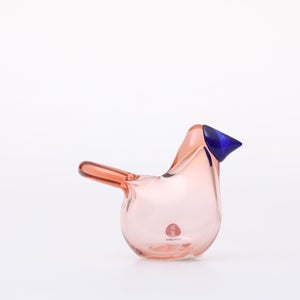 Birds Sieppo サーモンピンク×ブルー 0665