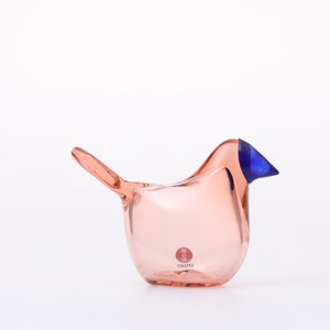 Birds Sieppo サーモンピンク×ブルー 0666