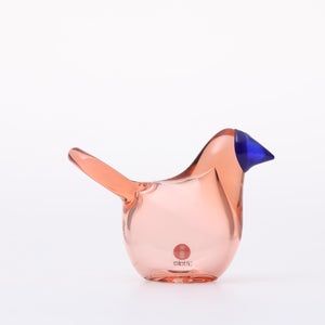 Birds Sieppo サーモンピンク×ブルー 0667