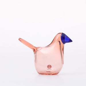 Birds Sieppo サーモンピンク×ブルー 0668